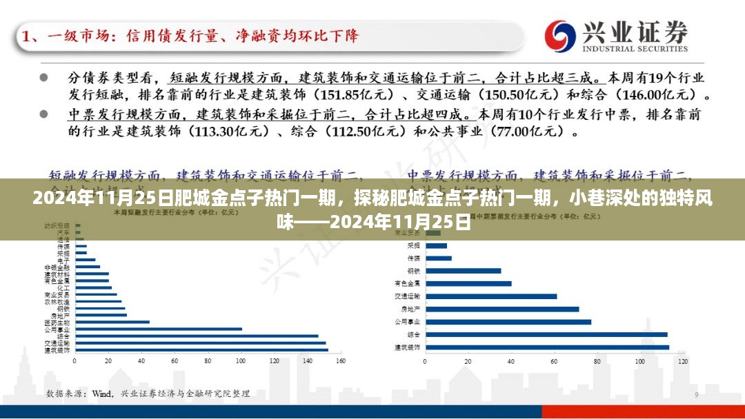 探秘肥城金点子热门一期，小巷深处的独特风味揭秘之旅（日期，2024年11月25日）