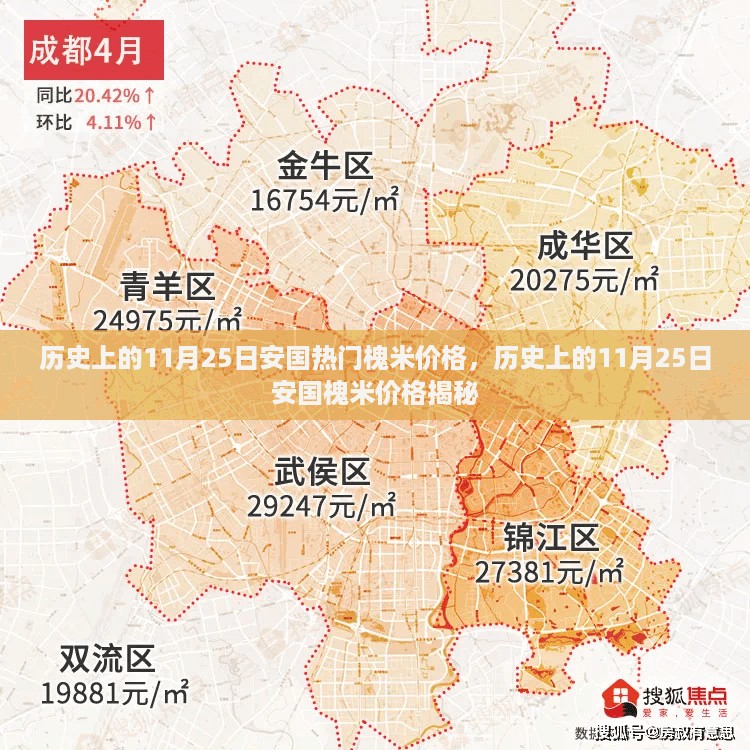 历史上的11月25日安国槐米价格探秘