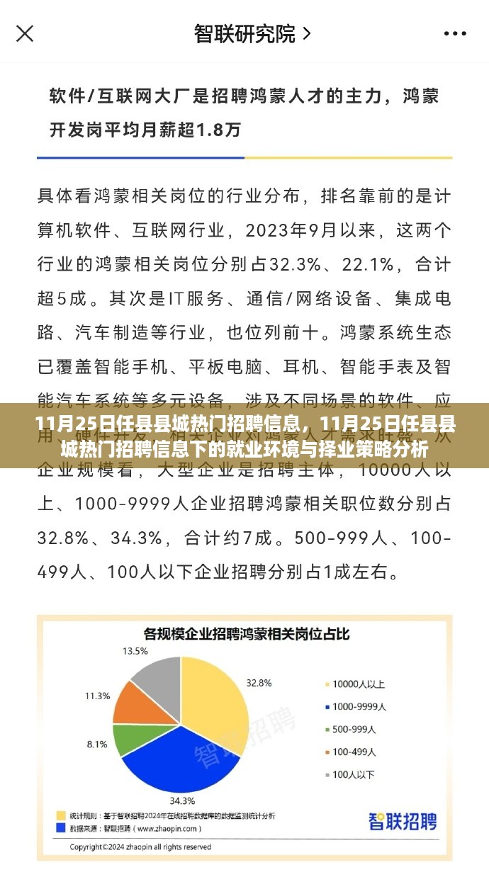 11月25日任县县城热门招聘信息及其就业环境与择业策略分析