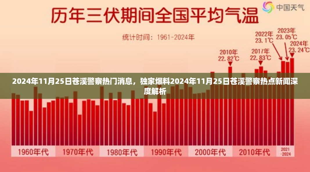 独家爆料，深度解析苍溪警察热点新闻，揭秘最新动态（2024年11月25日）