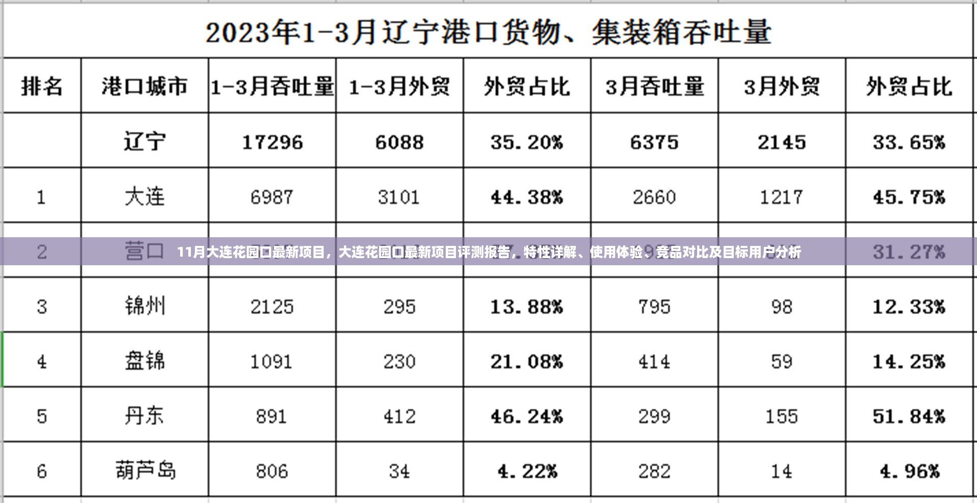 大连花园口最新项目评测报告，特性详解、体验与竞品对比，目标用户深度解析