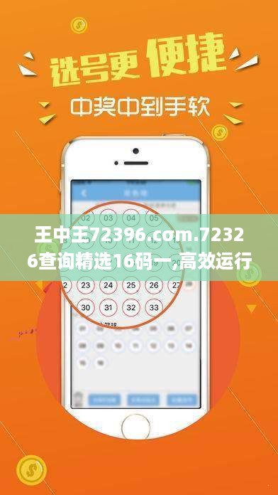 王中王72396.cσm.72326查询精选16码一,高效运行支持_创新版UYK9.94