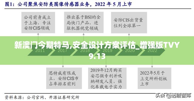 新澳门今期特马,安全设计方案评估_增强版TVY9.13