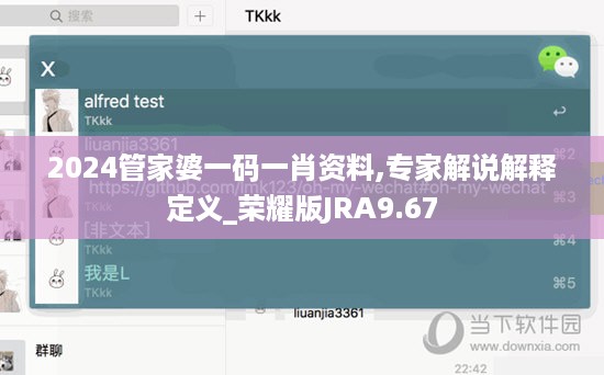 2024管家婆一码一肖资料,专家解说解释定义_荣耀版JRA9.67