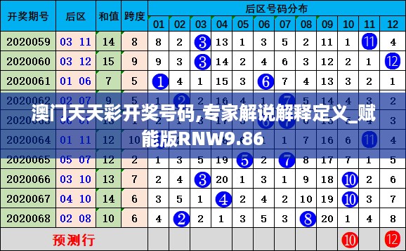 澳门天天彩开奖号码,专家解说解释定义_赋能版RNW9.86