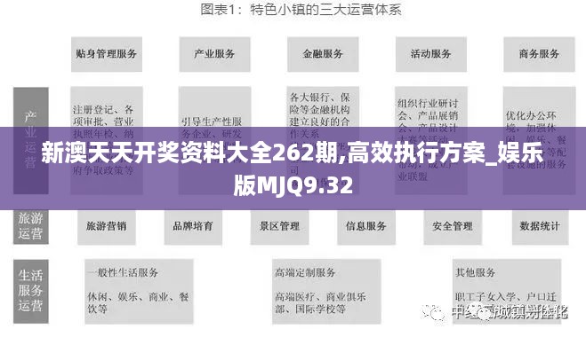 新澳天天开奖资料大全262期,高效执行方案_娱乐版MJQ9.32