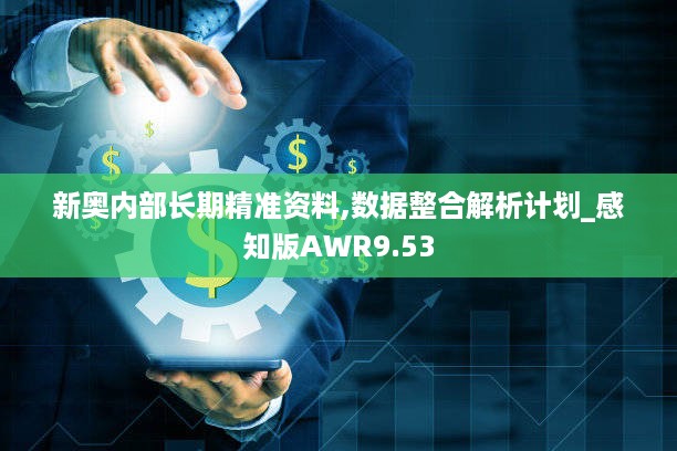 新奥内部长期精准资料,数据整合解析计划_感知版AWR9.53