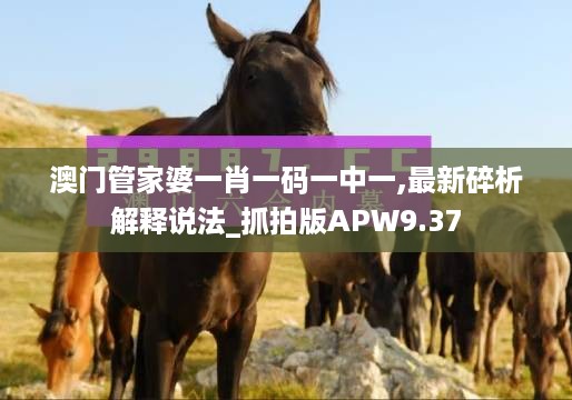 澳门管家婆一肖一码一中一,最新碎析解释说法_抓拍版APW9.37