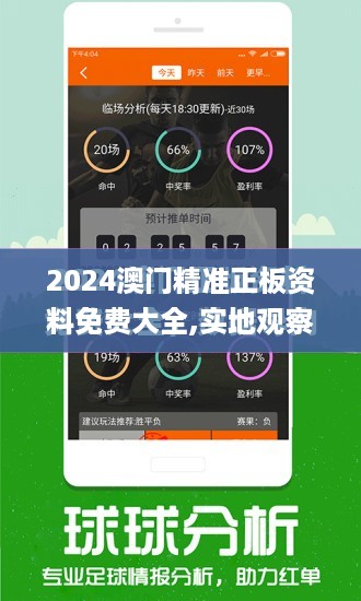 2024澳门精准正板资料免费大全,实地观察数据设计_实验版WPT9.29