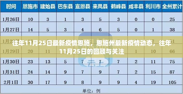 往年11月25日恩施州疫情回顾与最新动态关注