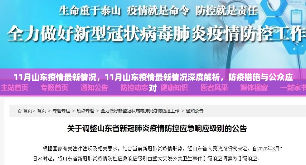 山东疫情最新动态深度解析，防疫措施与公众应对之道