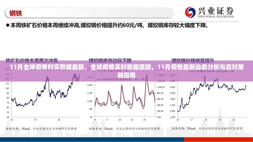 11月全球疫情最新实时数据跟踪与分析，应对策略指南