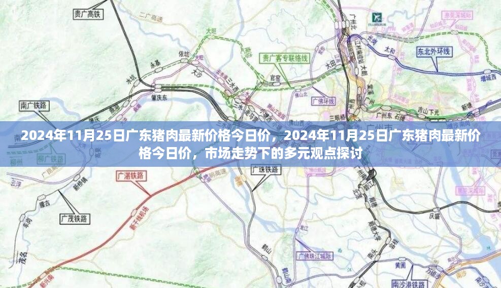 2024年11月25日广东猪肉市场最新价格及多元观点探讨