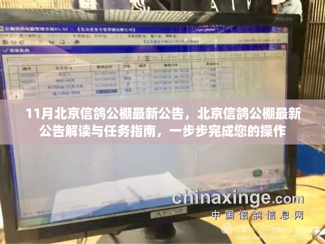 北京信鸽公棚最新公告解读与操作指南，完成任务的步骤详解