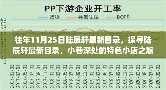 陆辰轩最新目录揭秘，小巷特色小店之旅