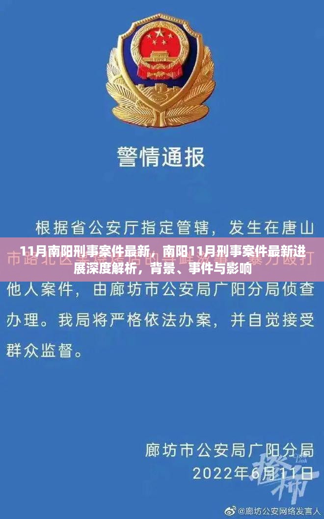 南阳11月刑事案件最新进展深度解析，背景、事件及影响分析