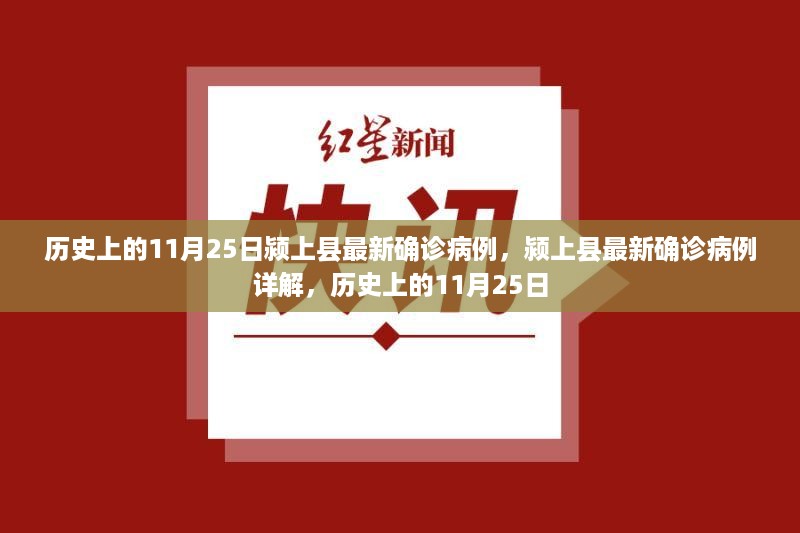 历史上的11月25日颍上县最新确诊病例详解