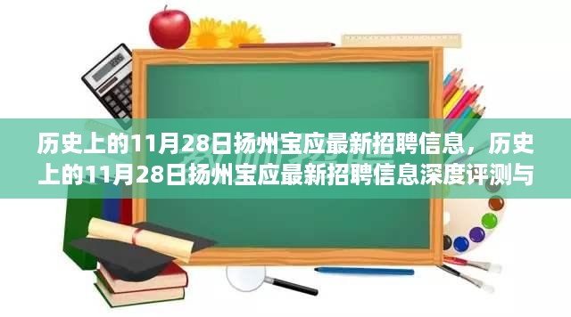 历史上的11月28日扬州宝应招聘信息深度解析与介绍，最新岗位评测与概览