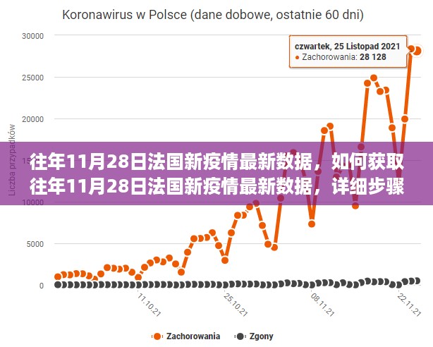 详细步骤指南，获取往年11月28日法国新疫情最新数据解析与解读