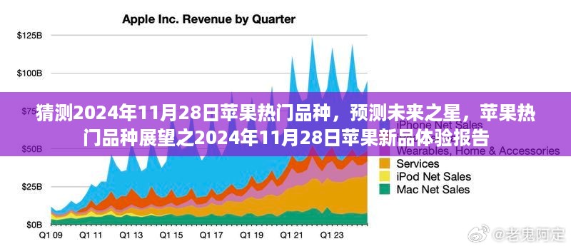 2024年11月28日苹果热门品种展望与未来新品预测体验报告