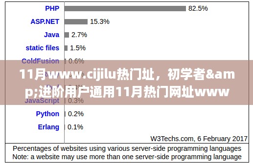 初学者与进阶用户必备的11月热门网址www.cijilu使用指南