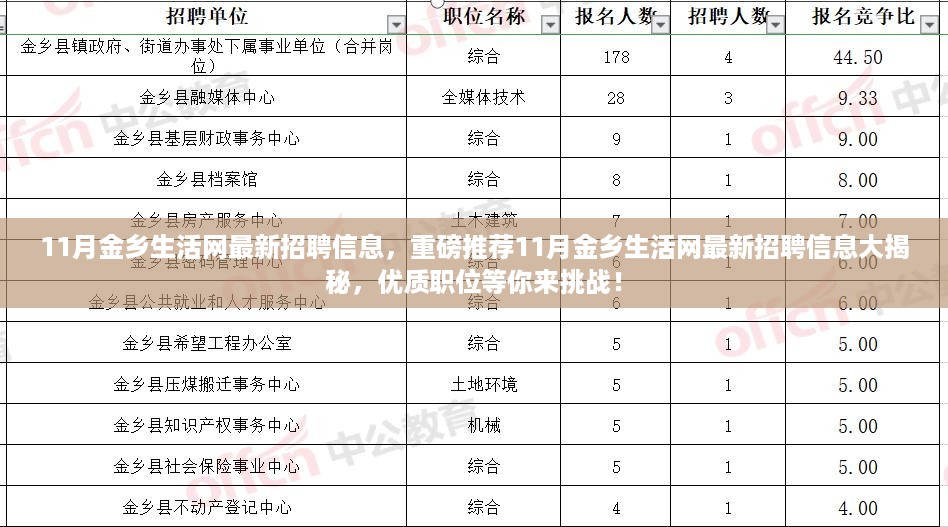 11月金乡生活网最新招聘信息汇总，优质职位等你来挑战