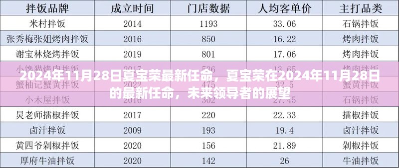 夏宝荣最新任命揭晓，未来领导者的展望（2024年11月28日）