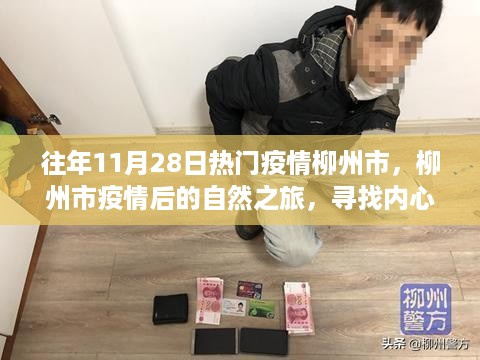 柳州市疫情后的自然之旅，寻找内心的宁静与美景的奇遇之旅