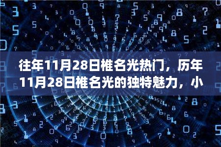 历年11月28日椎名光独特魅力揭秘，小红书热议焦点回顾