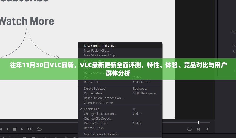 往年11月30日VLC最新，VLC最新更新全面评测，特性、体验、竞品对比与用户群体分析