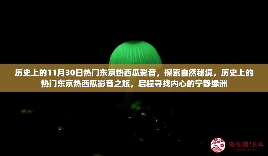 历史上的热门东京热西瓜影音之旅，启程探索自然秘境与心灵绿洲的奇妙之旅