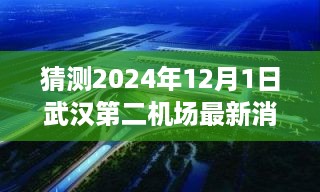 武汉第二机场建设进展预测，揭秘最新消息与未来展望（2024年视角）