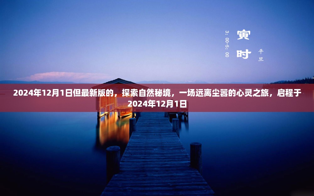 探索自然秘境，心灵之旅启程于2024年12月1日