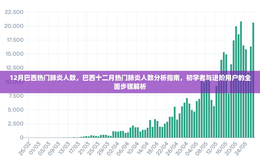 巴西十二月肺炎热门情况分析与指南，全面步骤解析