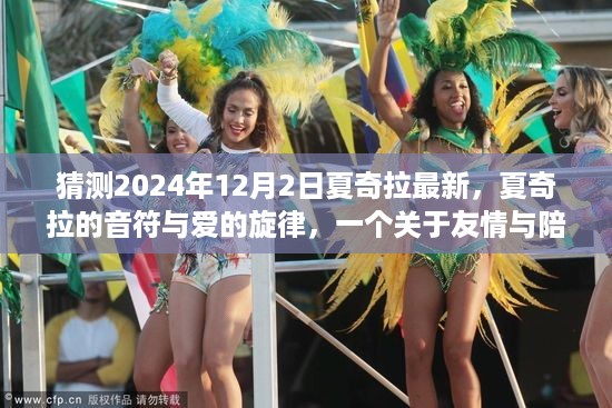 夏奇拉的新曲，音符与爱的旋律，友情与陪伴的温馨故事（猜测2024年12月2日）