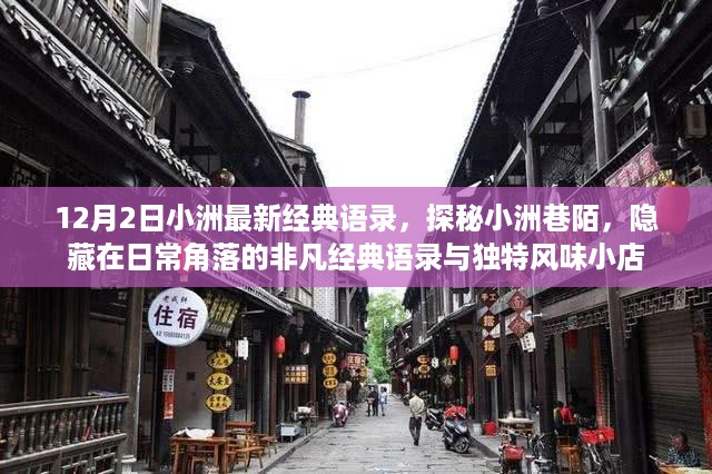 探秘小洲巷陌，日常角落的非凡经典语录与风味小店——12月2日小洲最新语录分享