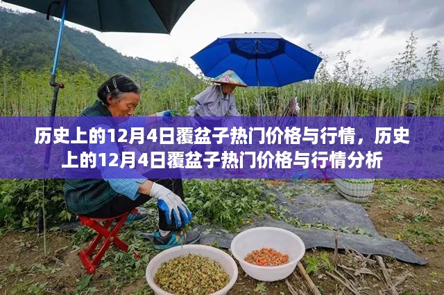 历史上的覆盆子行情分析，聚焦12月4日的热门价格与行情动态