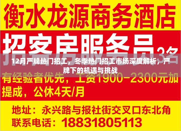 冬季严牌热门招工市场深度解析，机遇与挑战并存