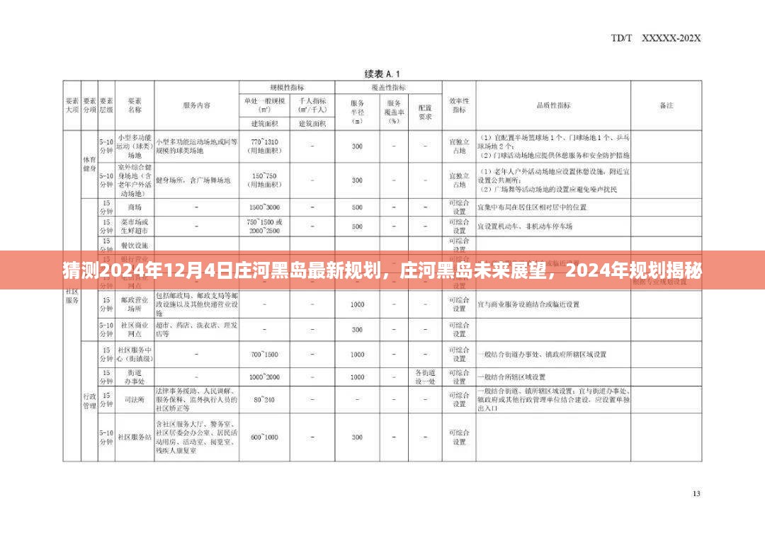 揭秘庄河黑岛未来展望，2024年规划揭秘与黑岛最新规划展望