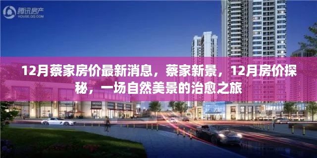 12月蔡家房价最新动态，新景探秘与美景治愈之旅