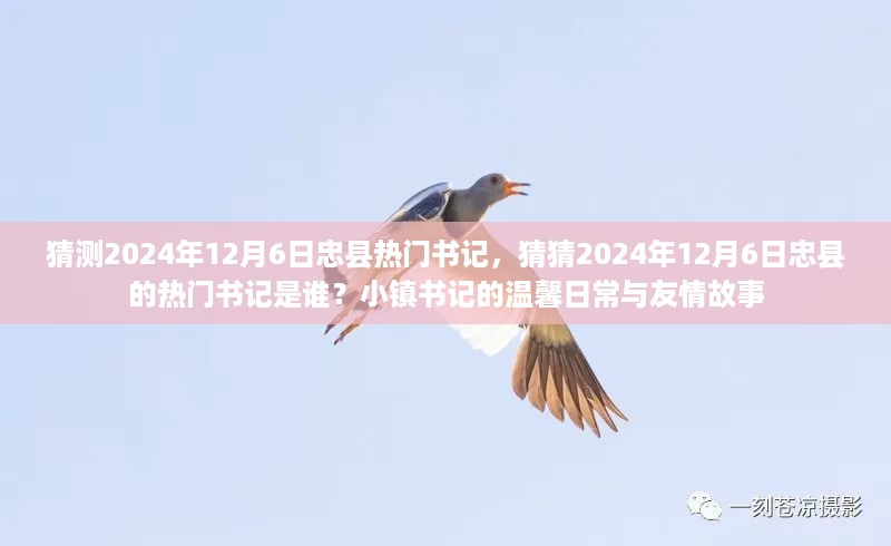 忠县热门书记猜想，2024年12月6日的温馨日常与友情故事