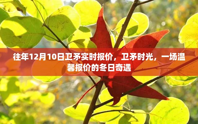 卫矛时光，冬日报价的温馨奇遇