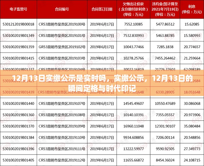 12月13日实缴公示实时更新，瞬间定格展现时代印记