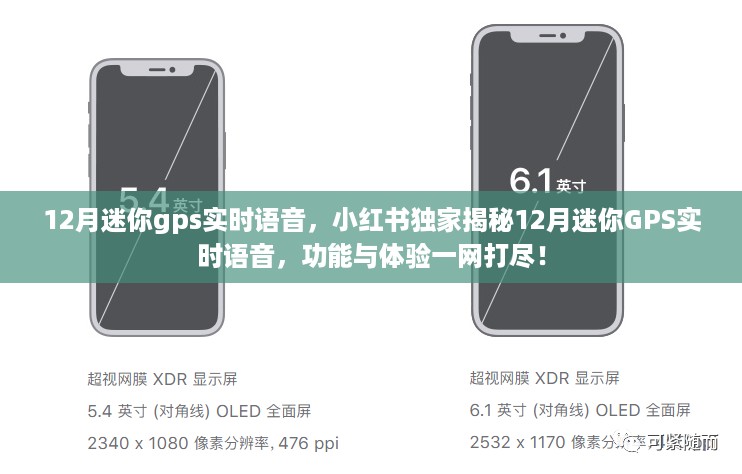 小红书独家揭秘，迷你GPS实时语音功能与体验全解析
