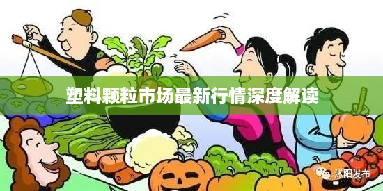 塑料颗粒市场最新行情深度解读