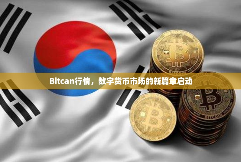 Bitcan行情，数字货币市场的新篇章启动