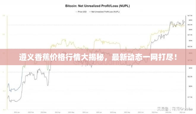 遵义香蕉价格行情大揭秘，最新动态一网打尽！