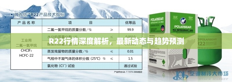 R22行情深度解析，最新动态与趋势预测