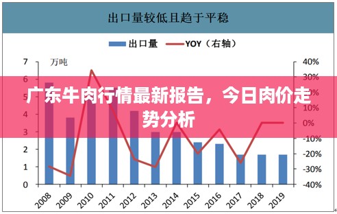 广东牛肉行情最新报告，今日肉价走势分析