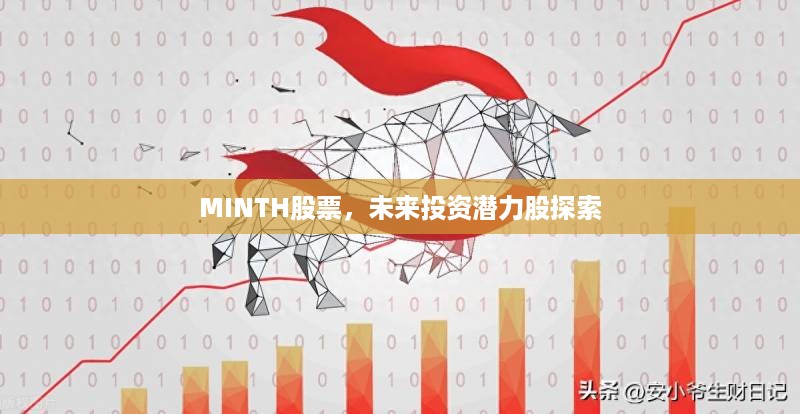 MINTH股票，未来投资潜力股探索